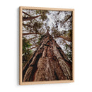 Coloso de Guarulhos - ECO | Cuadro decorativo de Canvas Lab