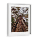 Coloso de Guarulhos - ECO | Cuadro decorativo de Canvas Lab