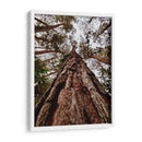 Coloso de Guarulhos - ECO | Cuadro decorativo de Canvas Lab