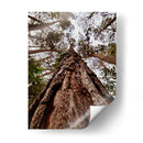 Coloso de Guarulhos - ECO | Cuadro decorativo de Canvas Lab