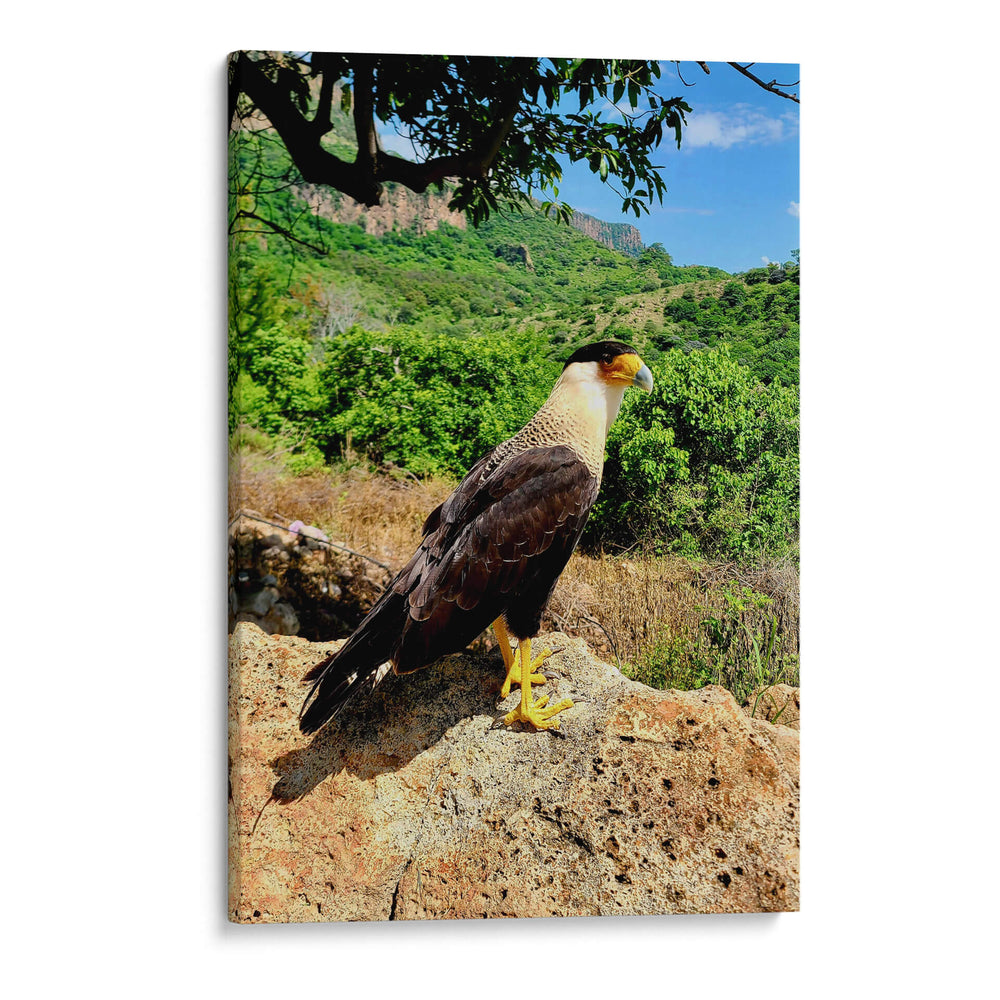 Vigilante del Valle - ECO | Cuadro decorativo de Canvas Lab