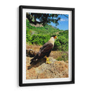 Vigilante del Valle - ECO | Cuadro decorativo de Canvas Lab