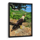 Vigilante del Valle - ECO | Cuadro decorativo de Canvas Lab