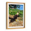 Vigilante del Valle - ECO | Cuadro decorativo de Canvas Lab