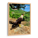 Vigilante del Valle - ECO | Cuadro decorativo de Canvas Lab