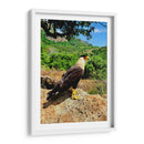 Vigilante del Valle - ECO | Cuadro decorativo de Canvas Lab