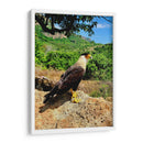 Vigilante del Valle - ECO | Cuadro decorativo de Canvas Lab