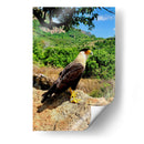 Vigilante del Valle - ECO | Cuadro decorativo de Canvas Lab