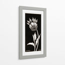 Dalia - Julie de Graag | Cuadro decorativo de Canvas Lab
