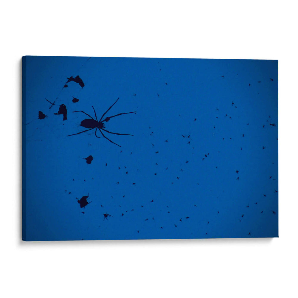 Cazadora en la Sombra - ECO | Cuadro decorativo de Canvas Lab