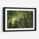 Sombras entre bambúes - ECO | Cuadro decorativo de Canvas Lab