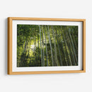 Sombras entre bambúes - ECO | Cuadro decorativo de Canvas Lab