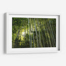 Sombras entre bambúes - ECO | Cuadro decorativo de Canvas Lab