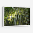 Sombras entre bambúes - ECO | Cuadro decorativo de Canvas Lab