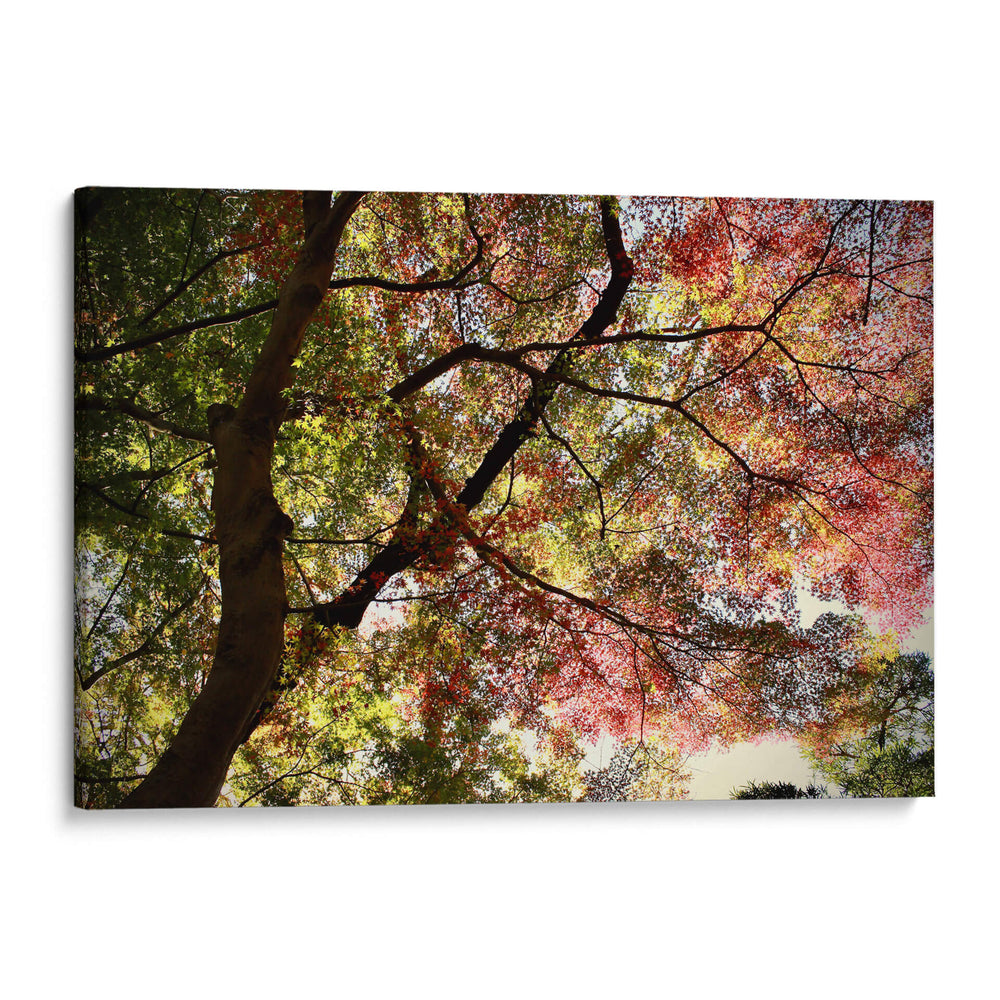 Armonía en los Colores de Kamakura - ECO | Cuadro decorativo de Canvas Lab