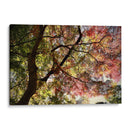 Armonía en los Colores de Kamakura - ECO | Cuadro decorativo de Canvas Lab
