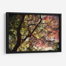 Armonía en los Colores de Kamakura - ECO | Cuadro decorativo de Canvas Lab