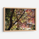 Armonía en los Colores de Kamakura - ECO | Cuadro decorativo de Canvas Lab