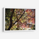 Armonía en los Colores de Kamakura - ECO | Cuadro decorativo de Canvas Lab