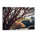 El caos en la naturaleza - ECO | Cuadro decorativo de Canvas Lab