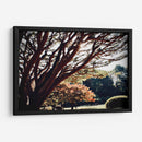 El caos en la naturaleza - ECO | Cuadro decorativo de Canvas Lab