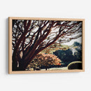 El caos en la naturaleza - ECO | Cuadro decorativo de Canvas Lab