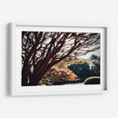 El caos en la naturaleza - ECO | Cuadro decorativo de Canvas Lab