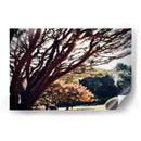 El caos en la naturaleza - ECO | Cuadro decorativo de Canvas Lab