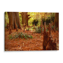 Raíces misteriosas - ECO | Cuadro decorativo de Canvas Lab