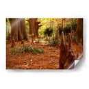 Raíces misteriosas - ECO | Cuadro decorativo de Canvas Lab