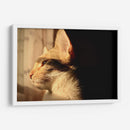 Contemplación Dorada - ECO | Cuadro decorativo de Canvas Lab