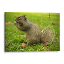 Comida sin preocupaciones - ECO | Cuadro decorativo de Canvas Lab