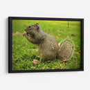 Comida sin preocupaciones - ECO | Cuadro decorativo de Canvas Lab