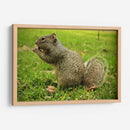 Comida sin preocupaciones - ECO | Cuadro decorativo de Canvas Lab