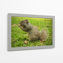Cuadro decorativo de Canvas Lab
