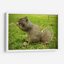 Comida sin preocupaciones - ECO | Cuadro decorativo de Canvas Lab