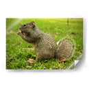 Comida sin preocupaciones - ECO | Cuadro decorativo de Canvas Lab