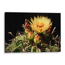 Belleza en la Adversidad - ECO | Cuadro decorativo de Canvas Lab