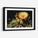 Belleza en la Adversidad - ECO | Cuadro decorativo de Canvas Lab