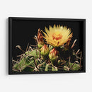 Belleza en la Adversidad - ECO | Cuadro decorativo de Canvas Lab