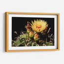 Belleza en la Adversidad - ECO | Cuadro decorativo de Canvas Lab