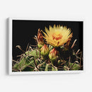 Belleza en la Adversidad - ECO | Cuadro decorativo de Canvas Lab