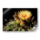 Belleza en la Adversidad - ECO | Cuadro decorativo de Canvas Lab