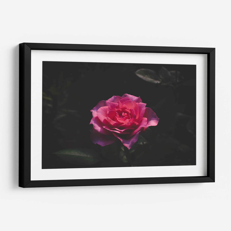 La Rosa - De la Rosa | Cuadro decorativo de Canvas Lab