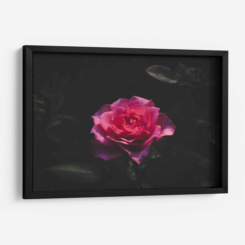 La Rosa - De la Rosa | Cuadro decorativo de Canvas Lab