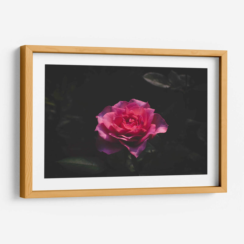 La Rosa - De la Rosa | Cuadro decorativo de Canvas Lab