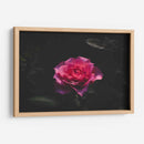 La Rosa - De la Rosa | Cuadro decorativo de Canvas Lab