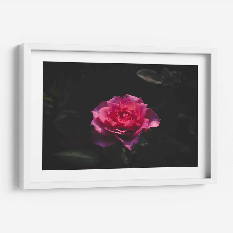 La Rosa - De la Rosa | Cuadro decorativo de Canvas Lab