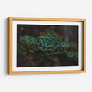 Suculenta - De la Rosa | Cuadro decorativo de Canvas Lab