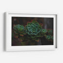 Suculenta - De la Rosa | Cuadro decorativo de Canvas Lab